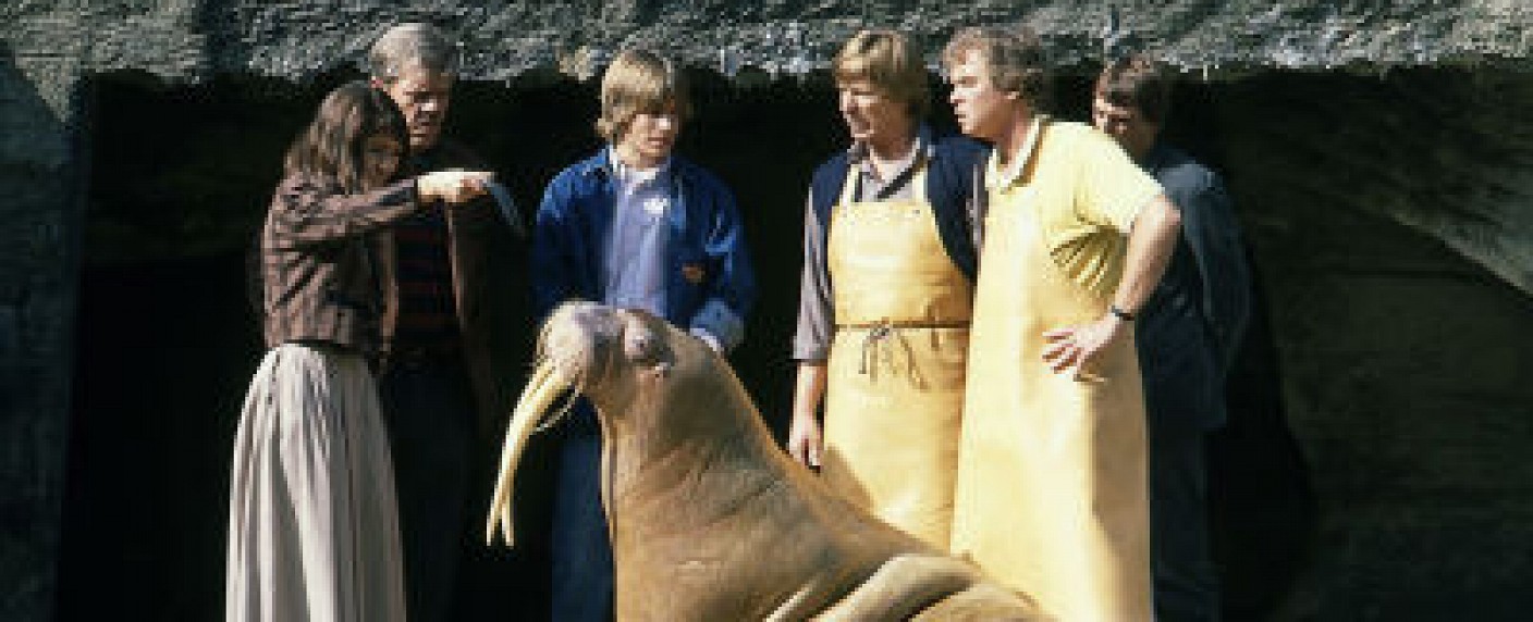 ZDFkultur wiederholt „Unsere Hagenbecks“ – Alle drei Staffeln der 90er-Jahre-Serie ab Dezember – Bild: ZDF