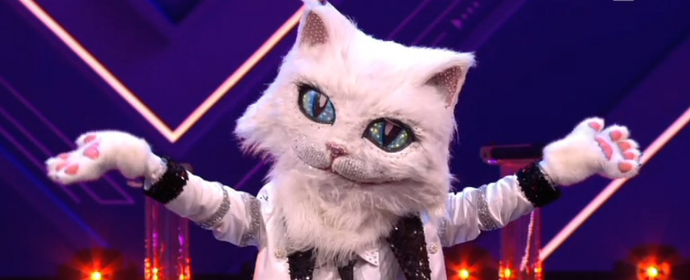 Letzte „The Masked Singer“-Enthüllung vor dem Finale: Die Katze ist … – Die fünfte Maske bei der ProSieben-Rateshow ist gefallen – Bild: ProSieben/​Screenshot