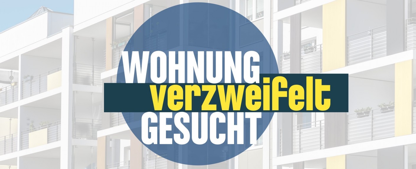 Ex-„Bachelor“ Jan Kralitschka hilft Wohnungssuchenden bei RTL – Mietrechtsexperte soll Familien zu neuen Unterkünften verhelfen – Bild: RTL