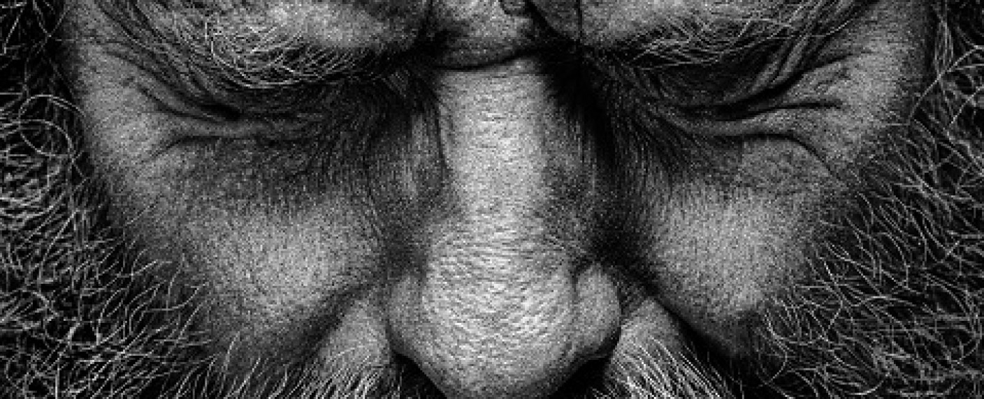 [UPDATE] „Your Honor“: Trailer zu Staffel 2 veröffentlicht – Krimiserie mit Bryan Cranston geht weiter – Bild: Showtime