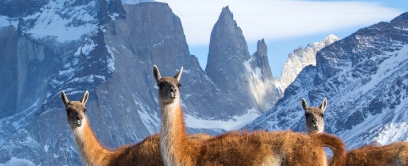 ZDF und BBC produzieren Doku-Reihe zu den sieben Kontinenten – Hans Zimmer als Komponist dabei, erster Trailer veröffentlicht – Bild: ZDF/​Chadden Hunter