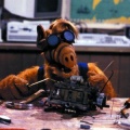 „ALF“ kehrt ab August auf kabel eins zurück – Sitcom-Nachmittag wird mit katzenfutterndem Außerirdischen erweitert – Bild: CBS
