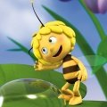 Die Biene Maja im Jahre 2013 – Bild: ZDF/Studio100 Media
