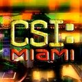 „C.S.I.: Miami“ – Bild: CBS