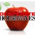 Zweiter "Desperate Housewives"-Prozess im September – Nicollette Sheridan und ABC erneut als Gegner vor Gericht – Bild: ABC