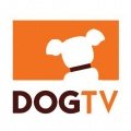 Zielgruppe Hund: Discovery investiert in DogTV – US-Sendergruppe erweitert ihr Publikum Zielgruppe Hund: Discovery investiert in DogTV – US-Sendergruppe erweitert ihr Publikum