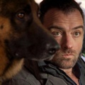 ORF holt „Kommissar Rex“ zurück auf den Bildschirm – Drehstart für Special mit altgedientem Polizeihund – Bild: ORF/​Beta Film