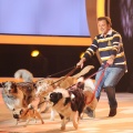 Martin Rütter moderiert RTL-Hundeshow am Samstagabend – Tierpsychologe spielt mit Promis und ihren Vierbeinern – Bild: RTL/​Willi Weber