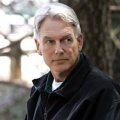 Mark Harmon – Bild: CBS