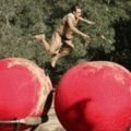 „Wipeout“ und seine „Big Balls“ sind in den USA beliebter – Bild: ABC Television