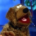 „Zimmer frei!“ mit WG-Hund Wiwaldi – Bild: WDR/Dietmar Seip „Zimmer frei!“ mit WG-Hund Wiwaldi – Bild: WDR/Dietmar Seip