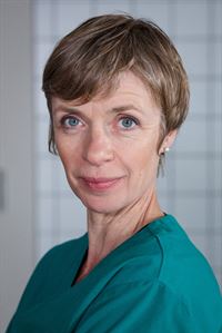 Sokoleipzig Sokoleipzig