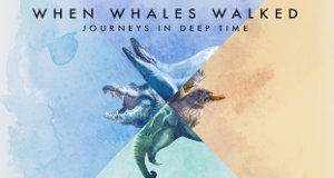 Als Wale laufen konnten – Eine Reise in die Vorzeit – Bild: Twin Cities Public Television Inc./Shining Red Films/PBS