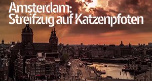 Amsterdam: Streifzug auf Katzenpfoten – Bild: EMS Films