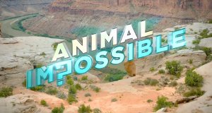 Animal Impossible – Bild: BBC/Migu Video Animal Impossible – Bild: BBC/Migu Video