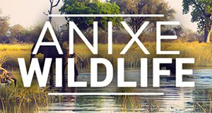 Anixe Wildlife – Bild: Anixe