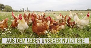 Aus dem Leben unserer Nutztiere – Bild: NDR/Loupe Film Aus dem Leben unserer Nutztiere – Bild: NDR/Loupe Film