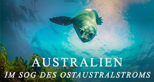 Australien – Im Sog des Ostaustralstroms