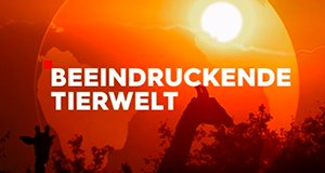 Beeindruckende Tierwelt – Bild: ZDF/ORF/PBS