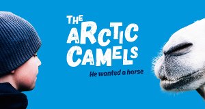Bur und Bestla – 2 Kamele am Polarkreis