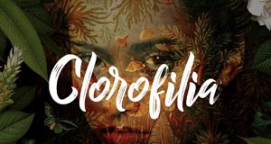 Clorofilia – Bild: Planta Alta Clorofilia – Bild: Planta Alta