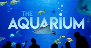 Das Atlanta-Aquarium