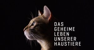 Das geheime Leben unserer Haustiere – Bild: TVNOW Das geheime Leben unserer Haustiere – Bild: TVNOW