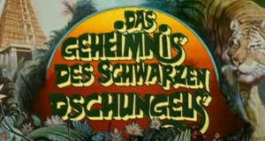 Das Geheimnis des schwarzen Dschungels – Bild: ZDF Das Geheimnis des schwarzen Dschungels – Bild: ZDF