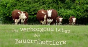 Das verborgene Leben der Bauernhoftiere – Bild: Sky/arte