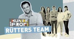 Der Hundeprofi – Rütters Team – Bild: TVNOW