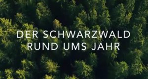 Der Schwarzwald rund ums Jahr – Bild: arte Der Schwarzwald rund ums Jahr – Bild: arte