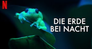 Die Erde bei Nacht – Bild: Netflix Die Erde bei Nacht – Bild: Netflix