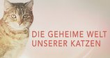 Die geheime Welt unserer Katzen – Bild: Plimsoll Productions