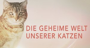 Die geheime Welt unserer Katzen – Bild: Plimsoll Productions Die geheime Welt unserer Katzen – Bild: Plimsoll Productions