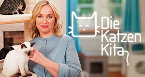 Die Katzen-Kita – Bild: TVNOW / DOCMA TV