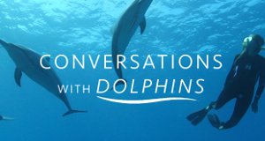 Die Sprache der Delfine