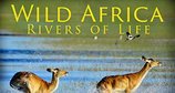 Die wilden Flüsse Afrikas – Bild: Lion Mountain Media/Warehouse 51 Productions/Animal Planet