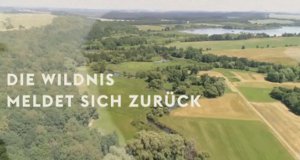 Die Wildnis meldet sich zurück – Bild: arte