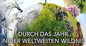 Durch das Jahr in der weltweiten Wildnis – Bild: Northern Pictures/BBC America/Sky Nature