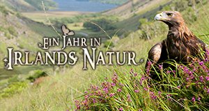Ein Jahr in Irlands Natur – Bild: arte/CTL Productions