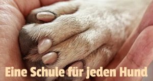 Eine Schule für jeden Hund – Bild: Netflix Eine Schule für jeden Hund – Bild: Netflix