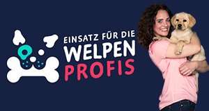 Einsatz für die Welpenprofis – Bild: Sat.1 Gold/Thomas Pritschet Einsatz für die Welpenprofis – Bild: Sat.1 Gold/Thomas Pritschet