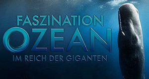 Faszination Ozean – Im Reich der Giganten – Bild: Discovery Faszination Ozean – Im Reich der Giganten – Bild: Discovery
