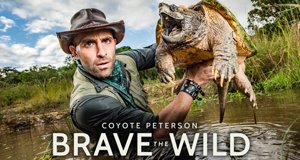 Faszinierende Tierwelt mit Coyote Peterson