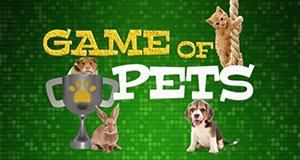 Game of Pets – Bild: sixx Game of Pets – Bild: sixx