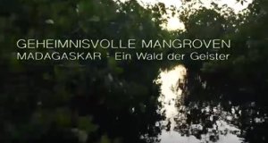 Geheimnisvolle Mangroven – Bild: arte/Mona Lisa Productions Geheimnisvolle Mangroven – Bild: arte/Mona Lisa Productions