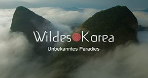 Geheimnisvolles Korea
