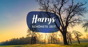 Harrys schönste Zeit – Bild: ORF