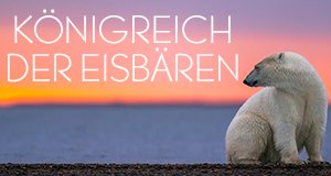 Königreich der Eisbären – Bild: National Geographic