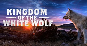 Königreich des Polarwolfs – Bild: National Geographic Königreich des Polarwolfs – Bild: National Geographic